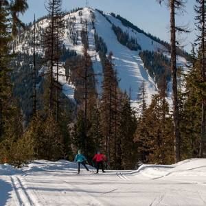 Meet your Posher, Jodi